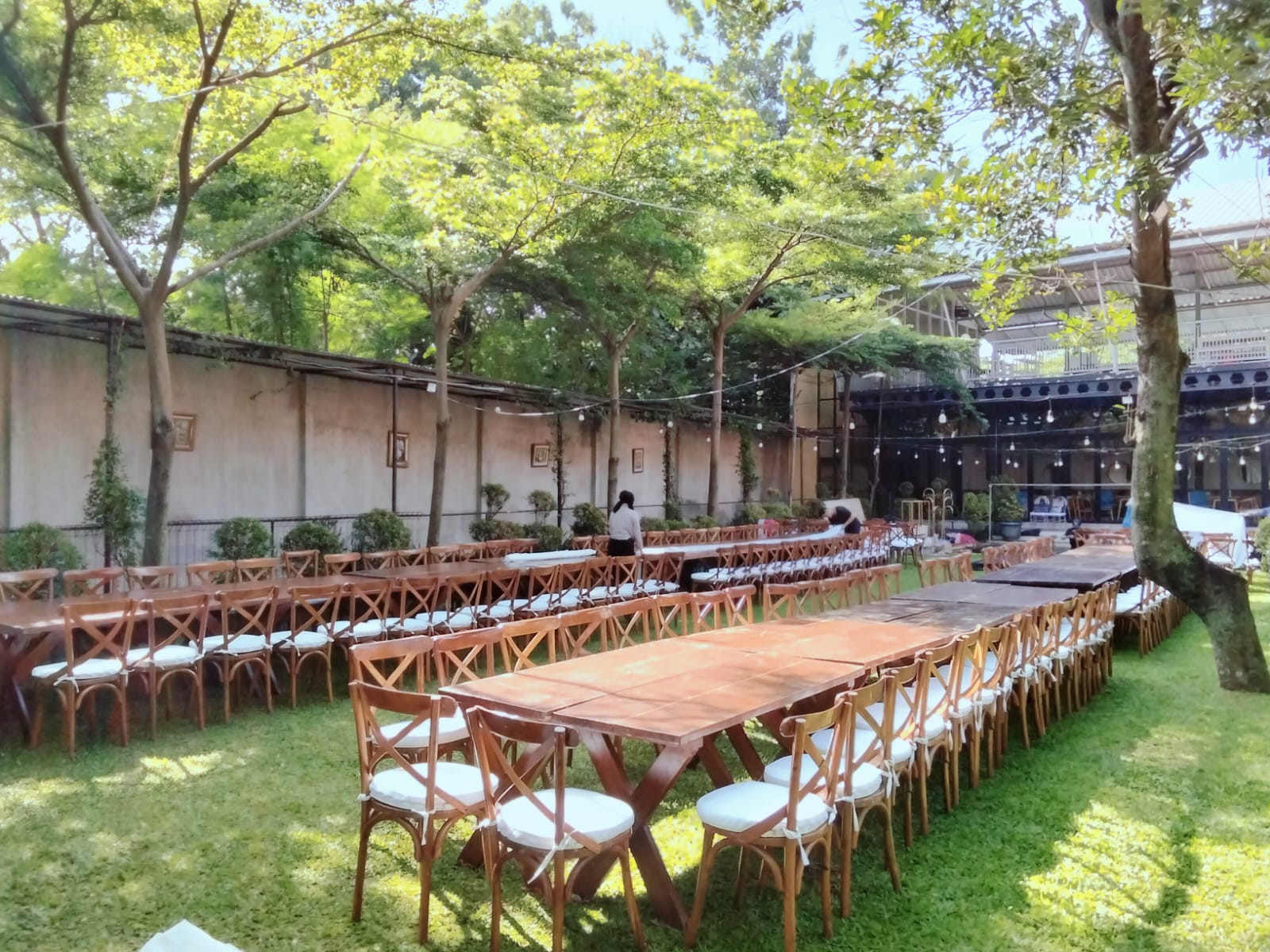 Sewa Kursi Crossback Event Tanggerang